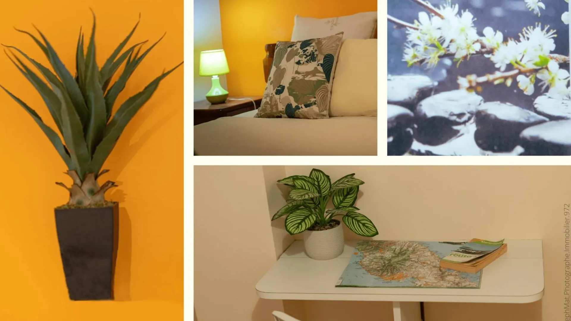 972A - Magnificent Ground Floor With Swimming Pool Apartment Le Diamant