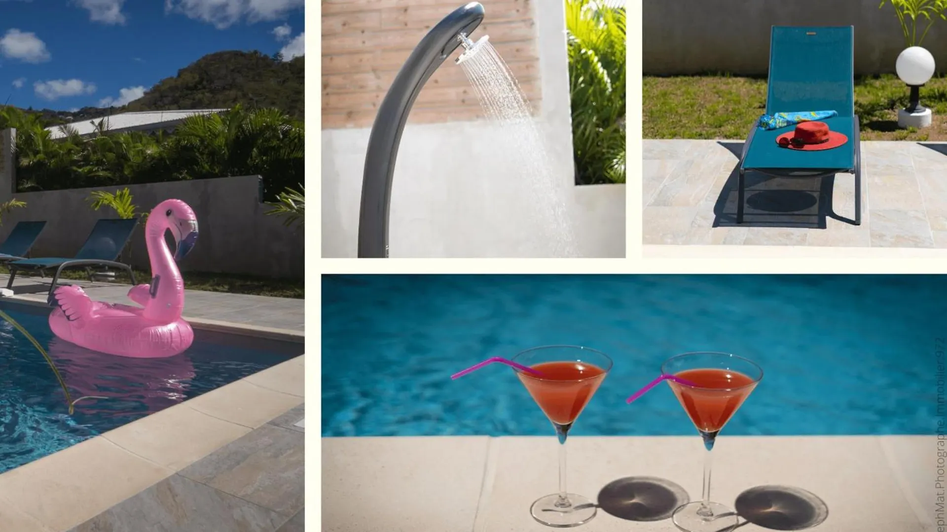 972A - Magnificent Ground Floor With Swimming Pool Apartment Le Diamant